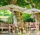 Fort de Pitres - Gallery - picture 