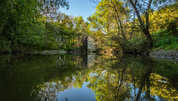 Domaine du Moulin de Labique - Gallery