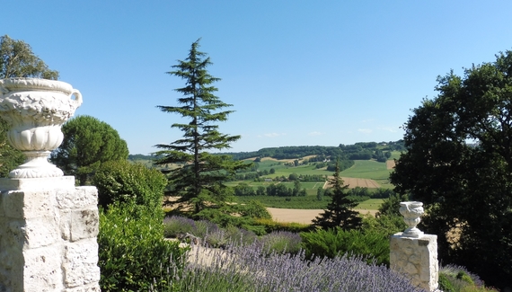 La Maison de Maitre - Gallery