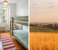 Le Beau Pierre - Gallery - picture 
