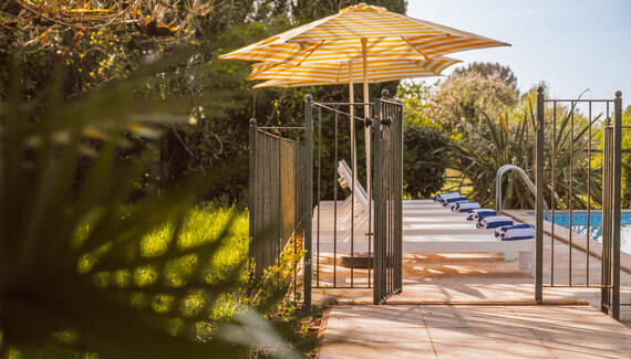 Le Beau Pierre - Gallery