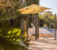 Le Beau Pierre - Gallery - picture 