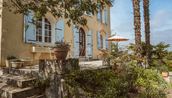 Le Beau Pierre - Gallery