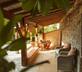 Le Beau Pierre - Gallery - picture 