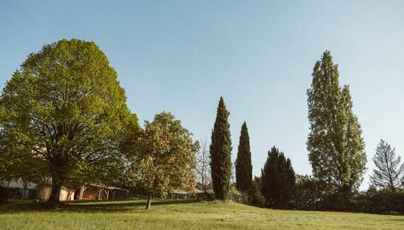 Le Beau Pierre - Gallery