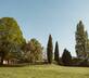 Le Beau Pierre - Gallery - picture 
