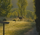 Secret Pyrenees - Gallery - picture 