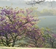 Secret Pyrenees - Gallery - picture 