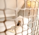 Entre Terre & Mer - Gallery - picture 