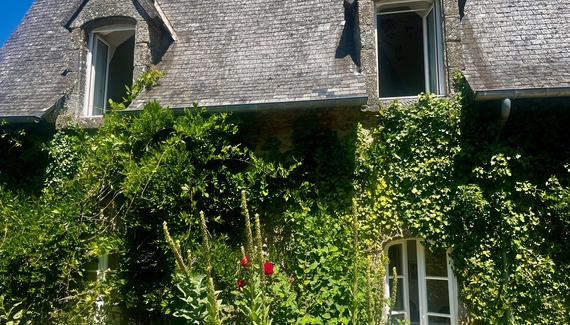 Ivy Cottage - Gallery