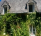 Ivy Cottage - Gallery - picture 