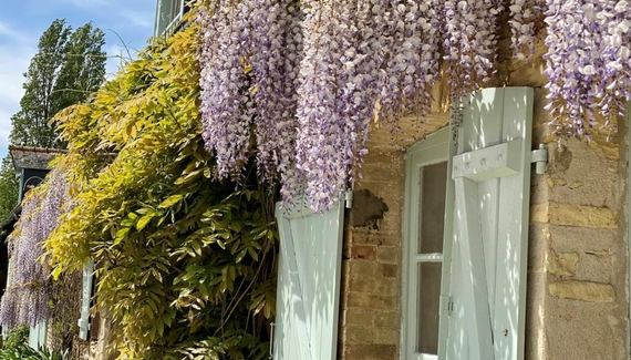 Le Manoir du Val Riant - Gallery