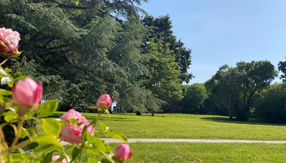 Le Manoir du Val Riant - Gallery
