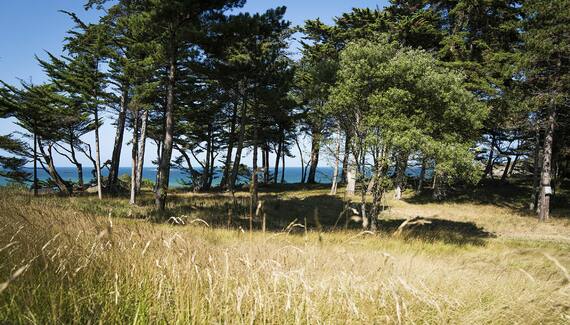 RozVen - La Longere de la Plage - Gallery