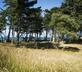 RozVen - La Longere de la Plage - Gallery - picture 