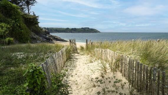 RozVen - Les Tilleuls de la Plage - Gallery