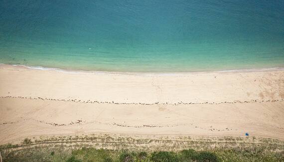 RozVen - Les Tilleuls de la Plage - Gallery