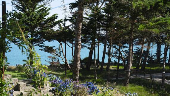 RozVen - Les Tilleuls de la Plage - Gallery