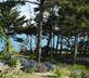 RozVen - Les Tilleuls de la Plage - Gallery - picture 