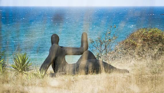RozVen - Les Tilleuls de la Plage - Gallery