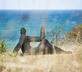 RozVen - Les Tilleuls de la Plage - Gallery - picture 