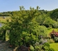 Domaine de Coët Bihan - Gallery - picture 