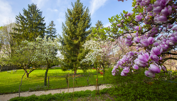 Les Jardins de Loïs - gallery
