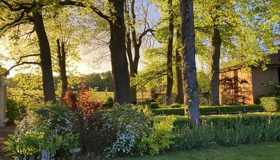 Les Jardins des Soussilanges - Gallery