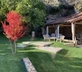 Villa Figue Blanche - Gallery - picture 