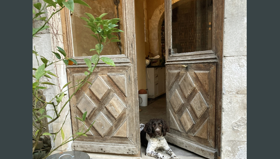 Maison des Pilastres - Gallery