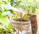 Maison des Pilastres - Gallery - picture 