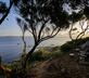 Fianca l'Osso - Gallery - picture 
