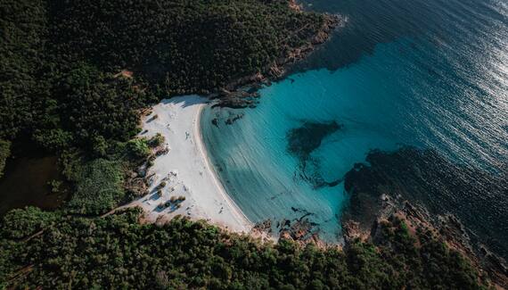 Les Oliviers de Palombaggia - Gallery