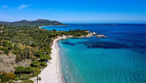 Les Oliviers de Palombaggia - Gallery