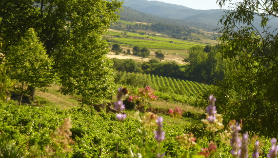 Château La Villatade - Gallery