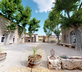 Domaine Paul Huc - Gallery - picture 
