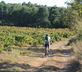 Domaine Paul Huc - Gallery - picture 