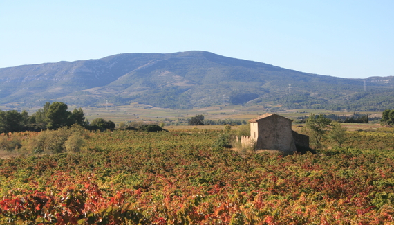 Domaine Paul Huc - Gallery