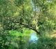 Le Manoir de Bize-Minervois - Gallery - picture 