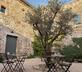 La Maison Perchée de Bernas - Gallery - picture 