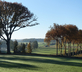 Château de La Rivière - Gallery - picture 