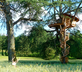 Château du Vau - Gallery - picture 