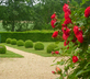 Château du Vau - Gallery - picture 