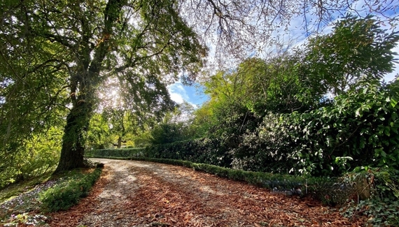 Château la Villaine - Gallery