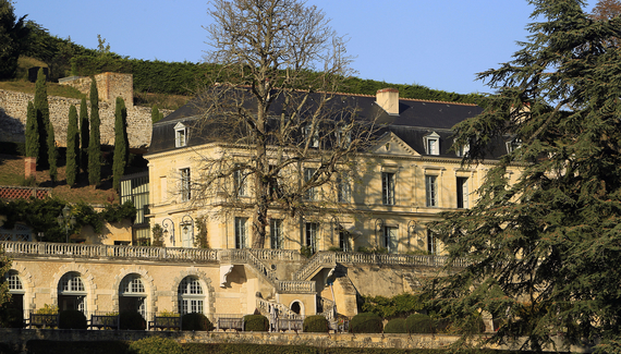 Domaine des Bidaudières - Gallery