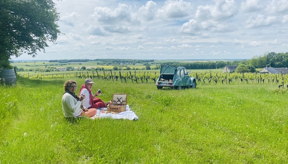 L'Ecrin de Verdure - Gallery