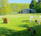 L'Ecrin de Verdure - Gallery - picture 
