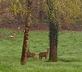 Manoir de Foncher - Gallery - picture 