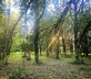 Manoir de Foncher - Gallery - picture 