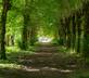 Les Volets Blancs - Gallery - picture 